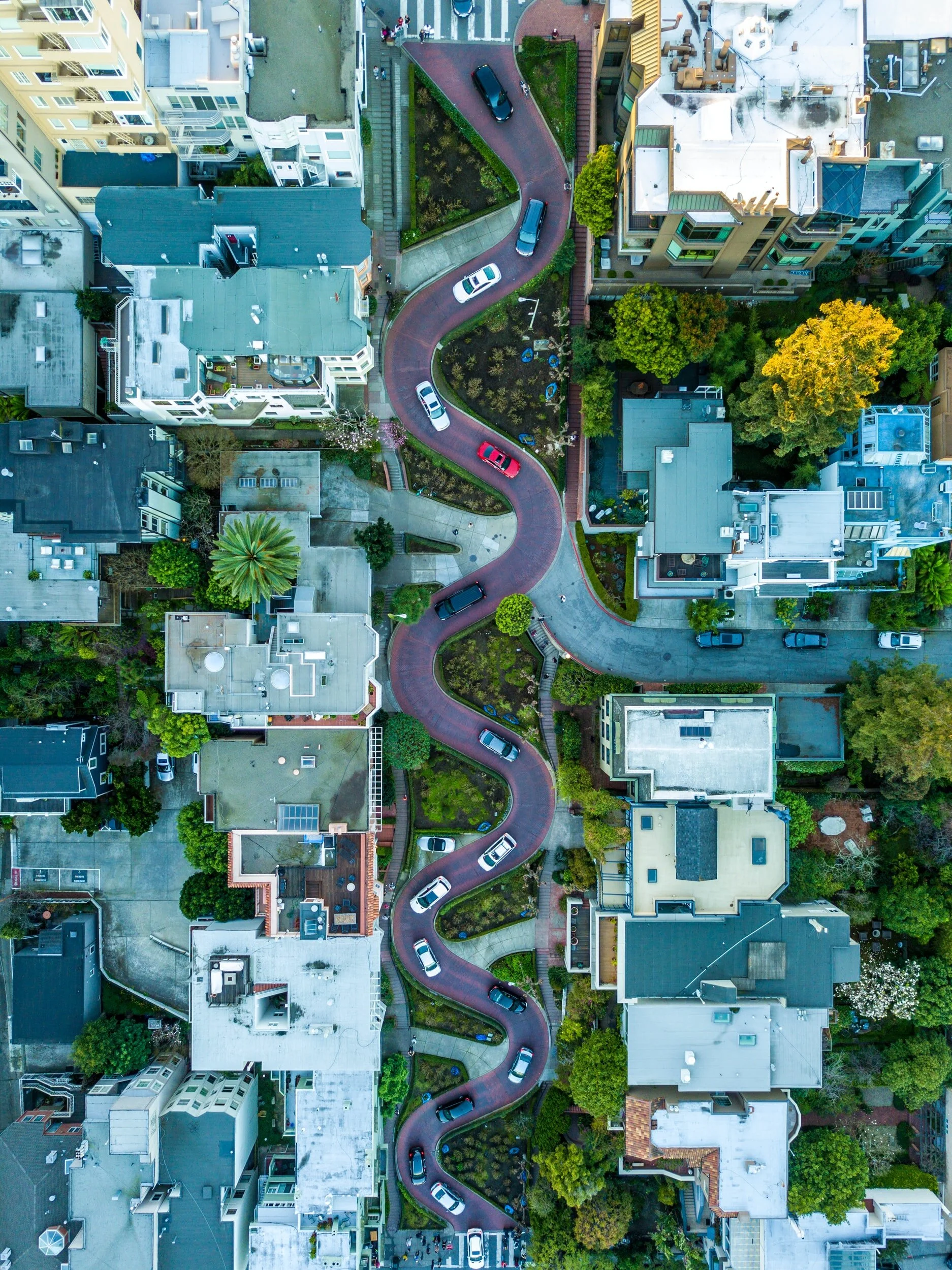 SF Essentials. San Francisco, CA.