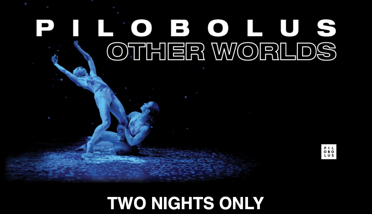 Pilobolus: Granada Theatre Santa Barbara